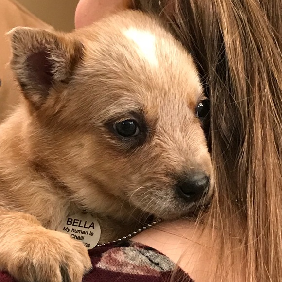 Meet your Posher, Kristi - Picture 1 of 1